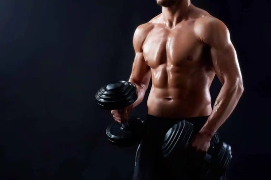 Muskeln definieren durch das richtige Training in der Diät